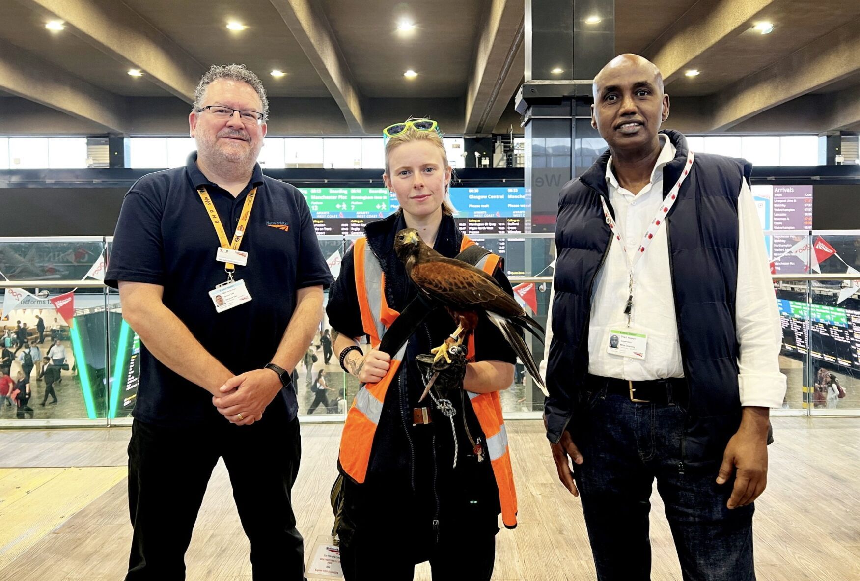 London Euston employs Harris hawk to combat pigeon problem